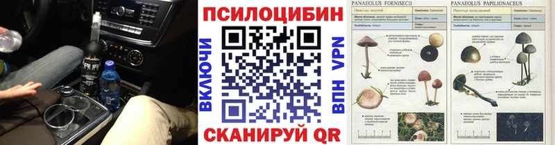 Галлюциногенные грибы ЛСД  кракен маркетплейс  Староминская 